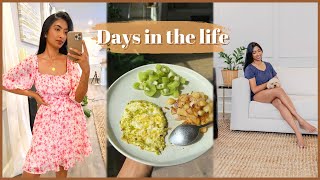 Days in the life | Pesto Eggs Recipe, New Living Room Rug, Fall Closet Declutter, Fall Baking by Shikha Singh 1,049 views 1 year ago 12 minutes