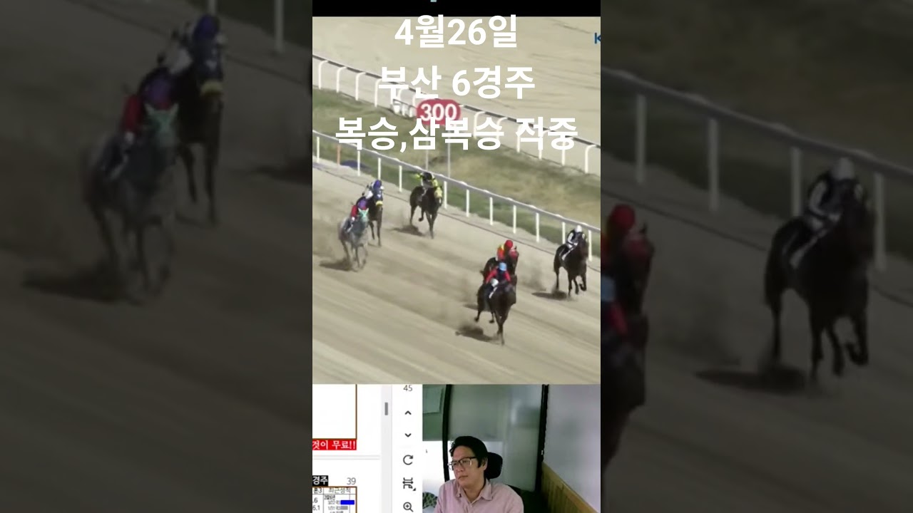4/26 일 부산 6경주 복 삼복 적중 배당은 아쉽네~~~