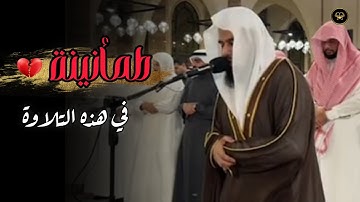 تلاوة مميزة ما تيسر من سورة الجاثية بصوت الشيخ أنس العمادي | مغرب 21 ذو الحجة 1446 هـ