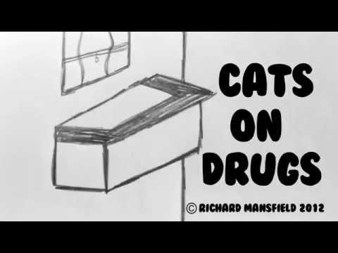 Cats on Drugs a silly cartoon