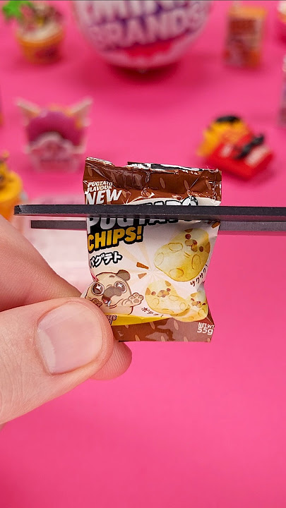 What's Inside The Bag Of Pugtato Chips From The Mini Brands Kawaii! #whatsinside #minibrands #kawaii