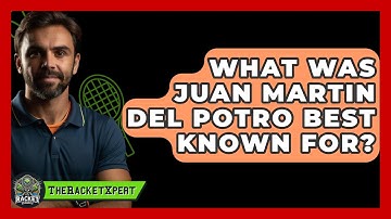 What Was Juan Martin Del Potro Best Known For? - The Racket Xpert