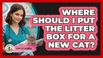 Where Should I Put The Litter Box For A New Cat?