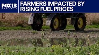 Rising fuel costs hit Washington farmers amid global tensions | FOX 13 Seattle