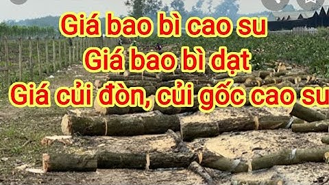 Giá bao bì và giá củi đòn, củi gốc cao su 21 tháng 2, 2022