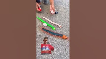 Remote control snake 🐍 and centipede scolopendra unboxing #rc #unboxing#shorts