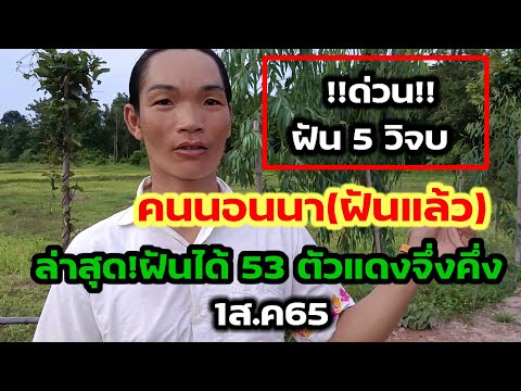 (คนนอนนา53)ฝันด่วน 5 วิจบ #ฟังเกือบไม่�