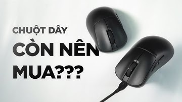 Tại sao 2024 vẫn mua chuột gaming có dây? Đánh Giá Pulsar Xlite V3 Dây
