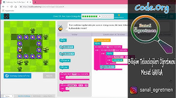 Code.Org Kurs 3 Ders 13 Arı İç İçe Döngüler