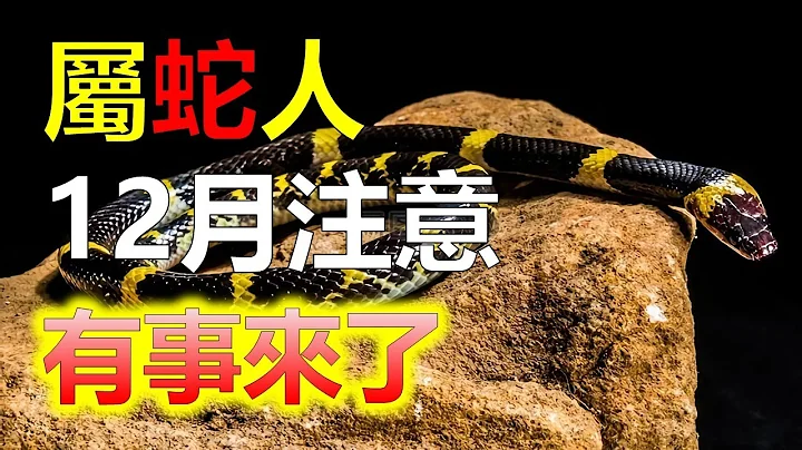 屬蛇人的事業更上一層樓，一路突飛猛進！生肖屬蛇的人勤快努力，12月貴人指點迷津運旺，在早期的屬蛇運勢不佳，遇到了很多的挫折，後半生，屬蛇人在偏財的庇佑當中，必定能夠蒸蒸日上2024生肖運勢，十二生肖 - 天天要聞