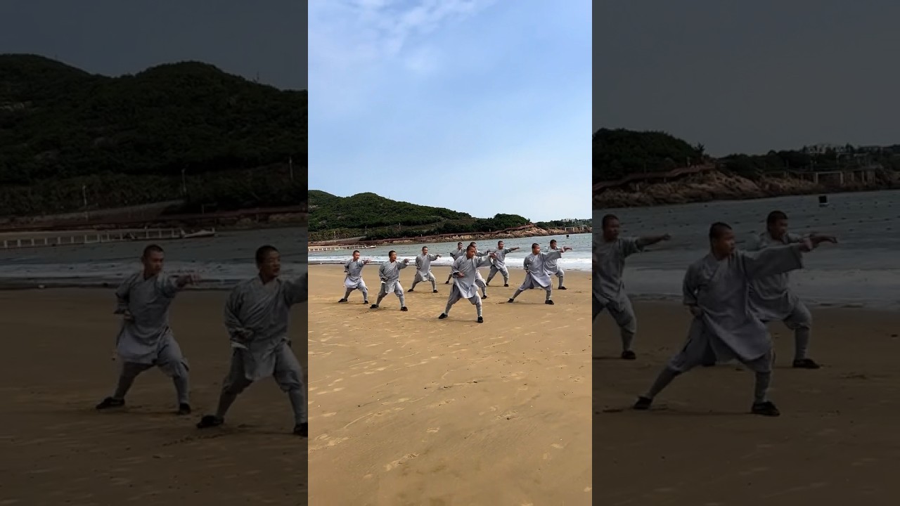 Shaolin 7 Star Fist | 七星拳