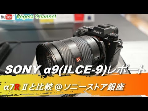 SONY α9 (ILCE-9) opened. Reasons for buying A9 instead of A7R3 