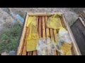 كيف نحضر القفير ليكون صخرة في مواجهة الشتاء كيف نحضر القفير ليكون صخرة في مواجهة الشتاء