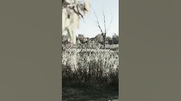 Existential crisis? Existential dread? BadJammaLlamas - Just A Thought