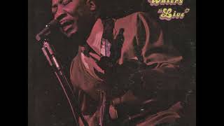 Muddy Waters - 06 - Nine Below Zero