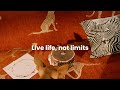 ♡Live life, not limits♡