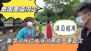泰国面临全国性洪灾！清迈被淹、美萍河水位大涨！
