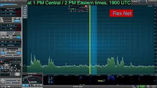Flex Net replay for Sunday, November 16, 2025