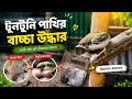 Baby bird rescue।টুনটুনি পাখির বাচ্চাকে তার মা বাবা কাছে ফিরিয়ে দিলাম