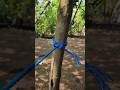 Constrictor knot!