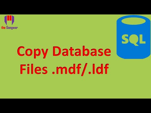 How to copy .mdf and .ldf files | Can't copy sql database | Unable to copy .mdf/.ldf files