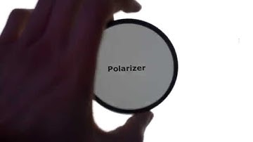 The One Filter You Can