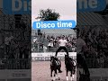 Free riding jumping huge bareback | funny and cute horse videos | horse show | سباق الخيل