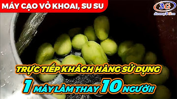 BÀN GIAO MÁY CẠO VỎ KHOAI TÂY, SU SU VỀ BẾP BẮC NINH| Điện Máy 3G