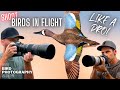 NOT Getting Great BIRDS IN FLIGHT Photos? Here&#39;s What To Do!