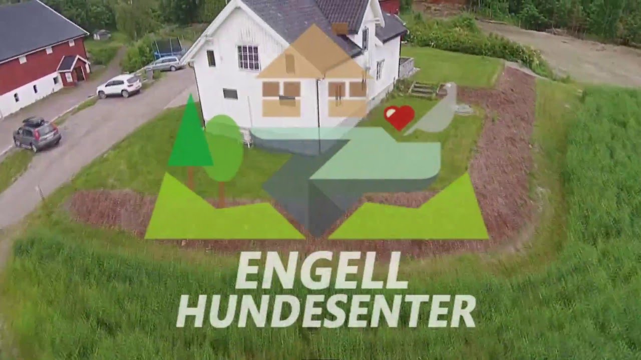 Engell Hundesenter - hundehotell-hundepensjonat-kennel