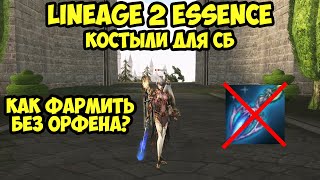 Костыли для СБ или как фармить без орфена в Lineage 2 Essence.