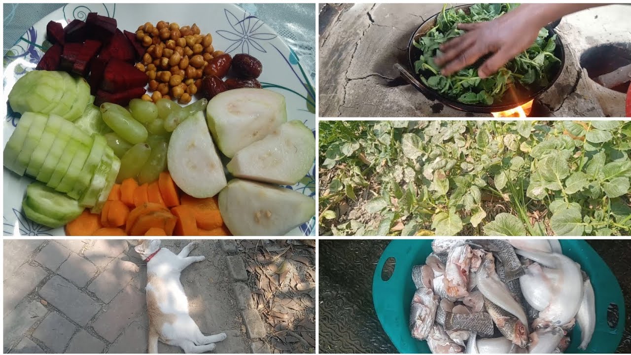 আলু শাক দিয়ে শোল মাছের তরকারি  /মিষ্টি শুধু আমার সঙ্গেই থাকতে চায় #arifablogvideo #villagelife 