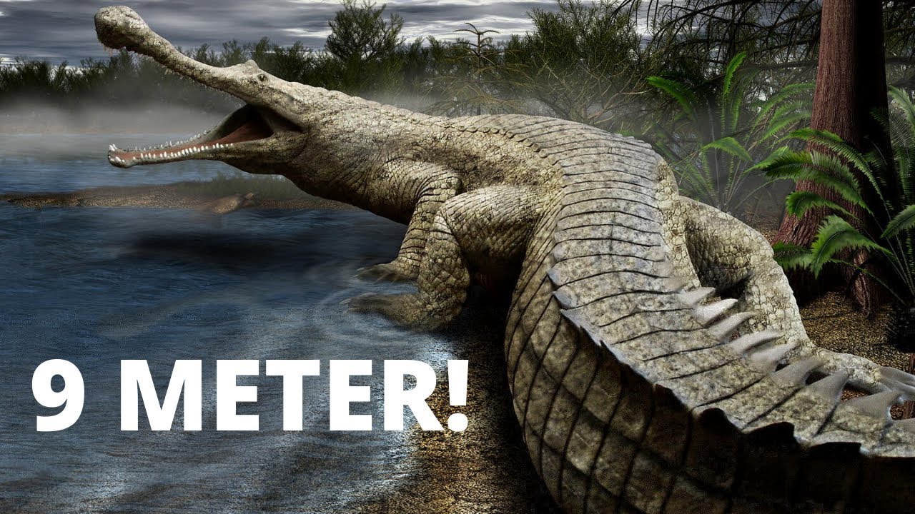 10 Grootste Dieren Ooit YouTube