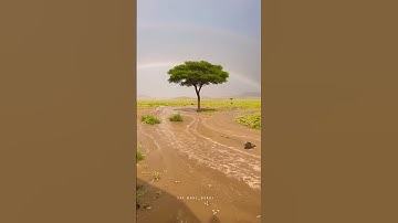 استمع #وأنصت #الي القران الكريم كلام الله تعالى منه بدأ واليه يعود #لعلك ترحم#