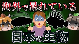 【逆特定外来生物】海外で暴れている日本の生き物7選 -パート4-