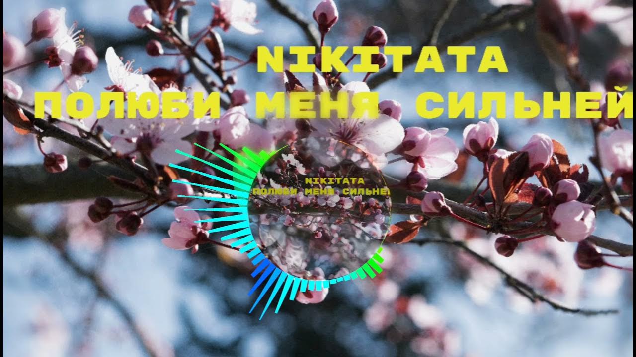 Ты не любишь розы окей я нарву тебе цветов со всех полей. Полюби меня сильней nikitata. Ты не любишь розы окей я нарву тебе цветов со всех полей. Ты не любишь розы окей я нарву тебе цветов. Я нарву тебе цветов песни.