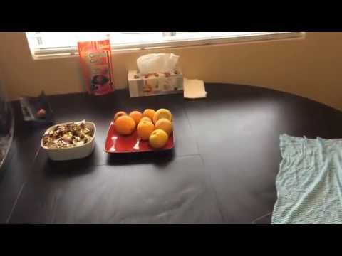 О МОЕМ НОВОМ КЕ МОЕЙ РАБОТЕ О РАЗРЕШЕНИИ НА РАБОТУ-20-08-2015