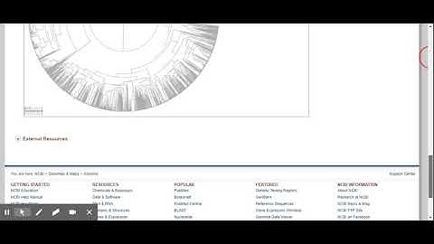 How to access NCBI and how to find hypothetical proteins from a microbe of your choice