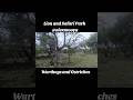 Lion and  Safari Park Adventure Part 2: Warthog Section