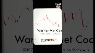 Should you buy Warrior Met Coal Stock?