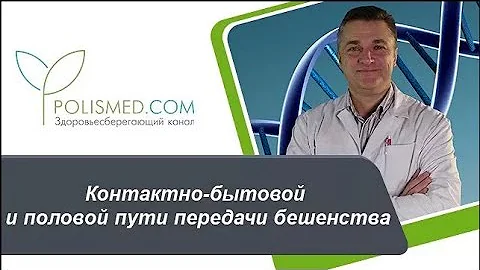 Контактно-бытовой и половой пути передачи бешенства. Передается ли бешенство от человека к человеку