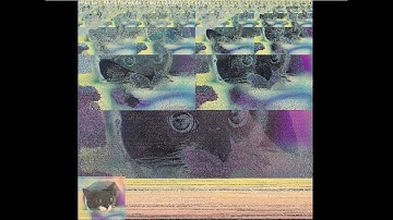 Pixel Heap Sorting visualization on a colorful cat img [900x853]