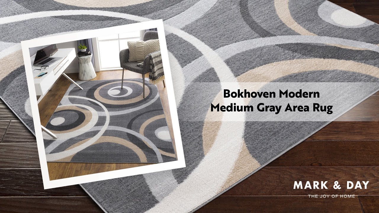 Bokhoven Modern Medium Gray Area Rug