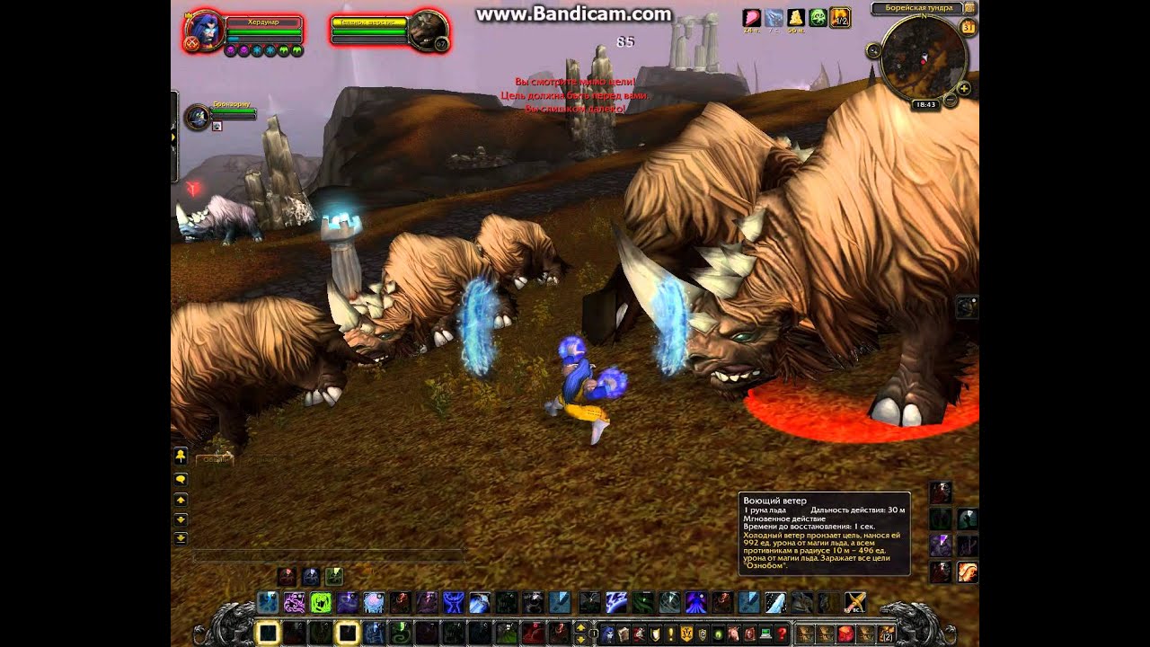 выживаем в ворлд оф варкрафт. часть 1 - YouTube