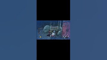 How the games are going with a full SWF today :) #dbdshorts #dbd #dbdclips #dbdsurvivor #dbdgameplay