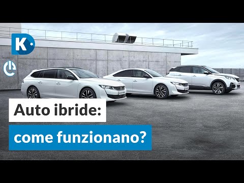 Video: Cos'è una coltura ibrida?