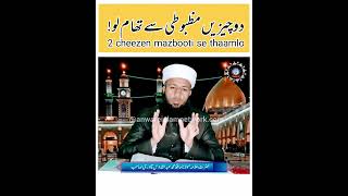 2 Chezeen Thamlo By Hazrath Allamah Maulana Hafiz Abdul Quddus Sahab