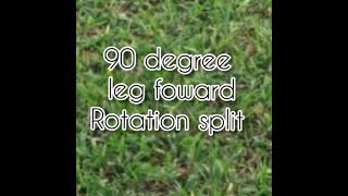 Different Types Of Leg Splits