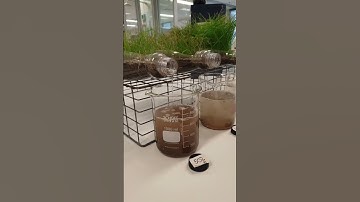 the best soil erosion experiment !!