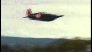 D-3800Zweiterflug.wmv